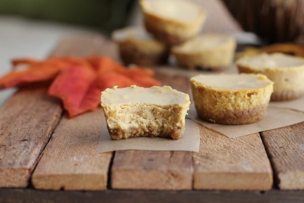 Pumpkin Cheesecake Bites 2 :: Inquiring Chef