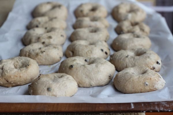 Bagels rising on a baking pan at home