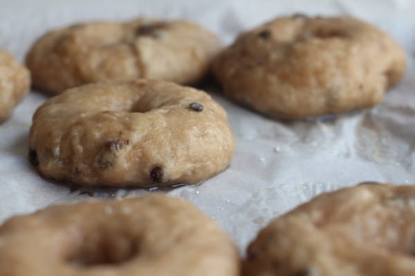 Boiled bagels ready to bake 